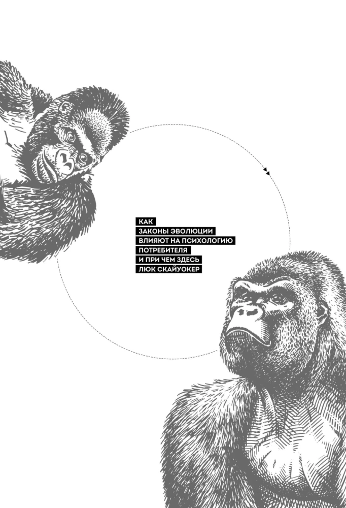 The Person Buying and Selling: How Evolutionary Laws Affect Consumer Psychology and What Luke Skywalker Has to Do with It