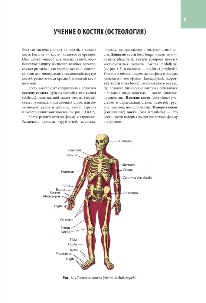 Atlas of Human Anatomy. All Organs and Systems