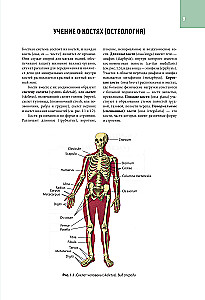 Atlas of Human Anatomy. All Organs and Systems