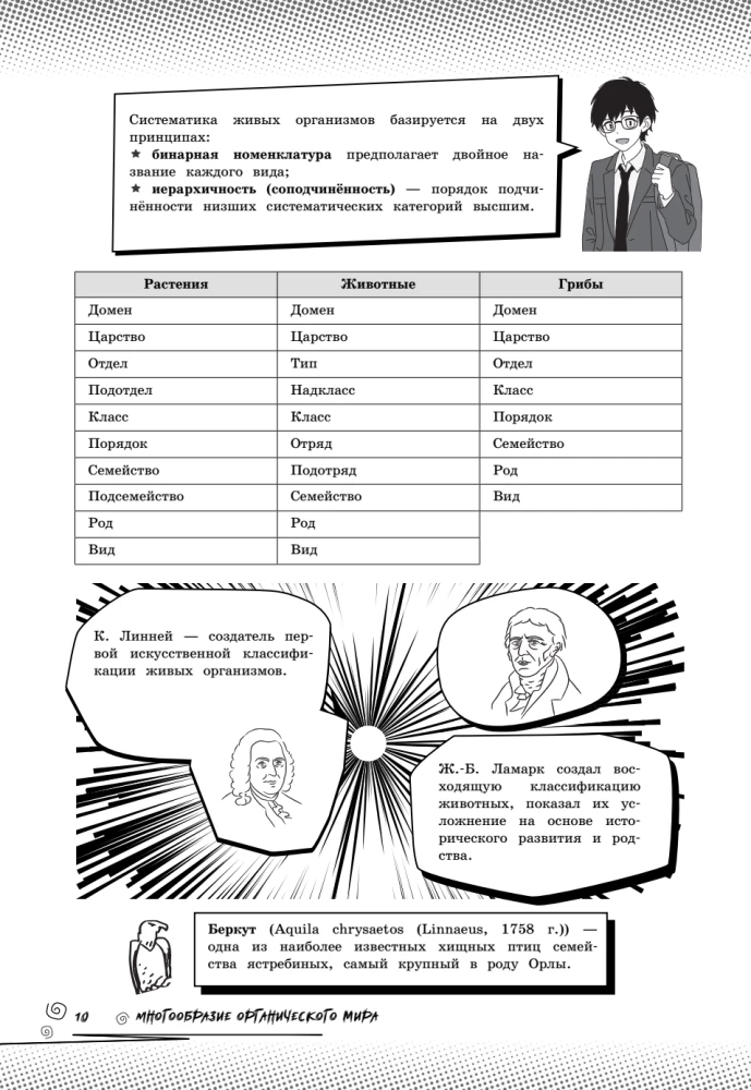 Biologia. Podnieś swój poziom na maksimum