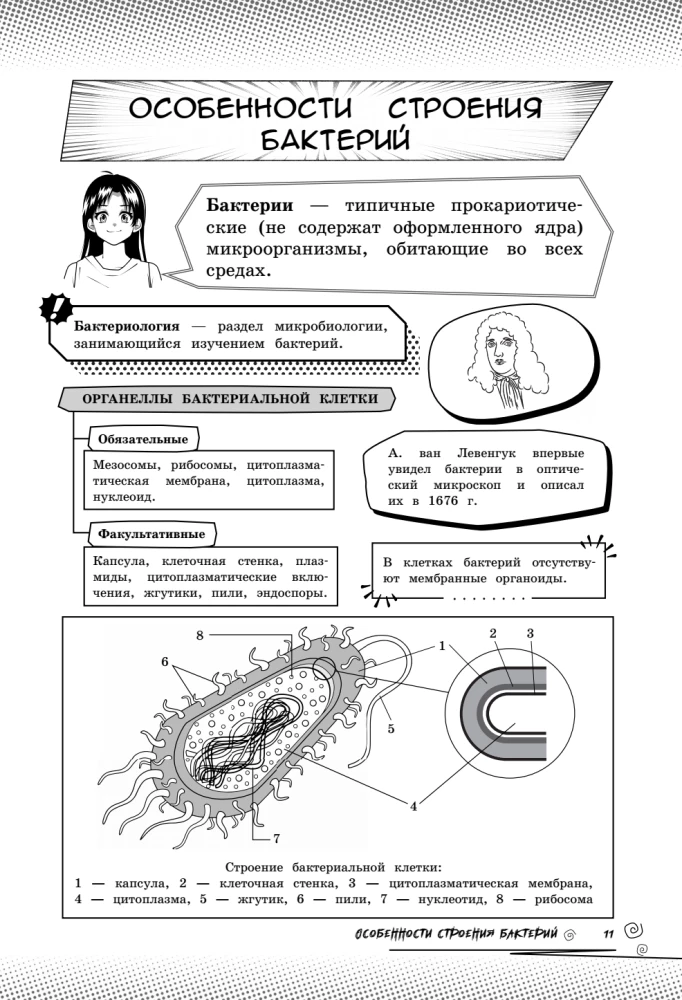 Biologia. Podnieś swój poziom na maksimum