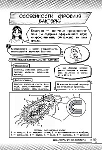 Biologia. Podnieś swój poziom na maksimum