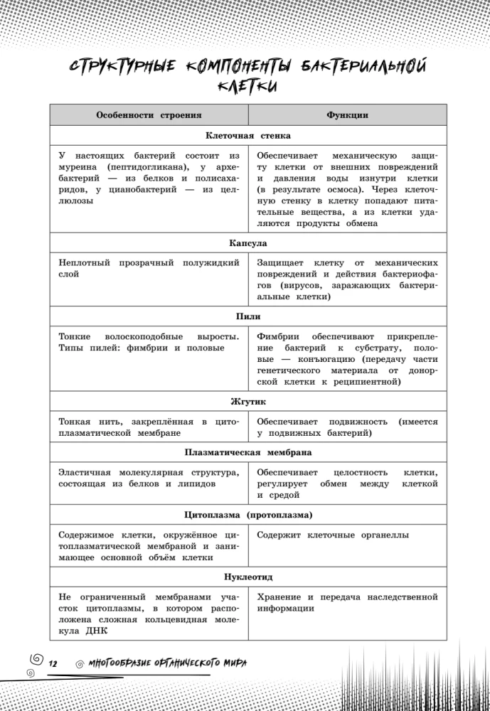 Biologia. Podnieś swój poziom na maksimum