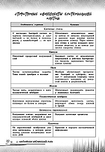 Biologia. Podnieś swój poziom na maksimum