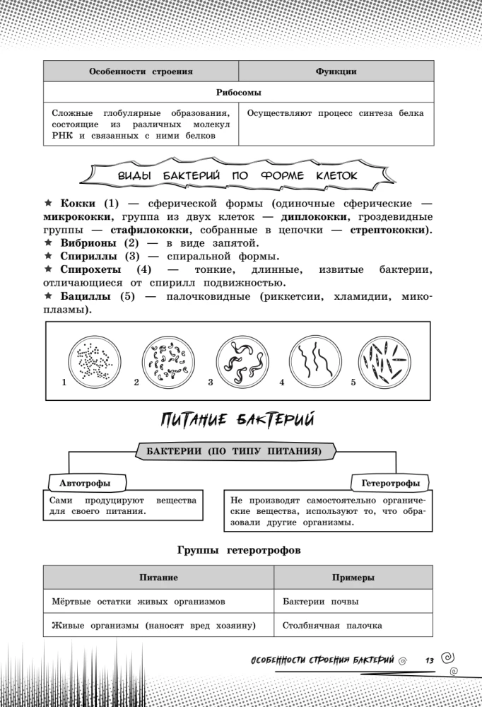 Biologia. Podnieś swój poziom na maksimum