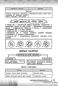 Biologia. Podnieś swój poziom na maksimum