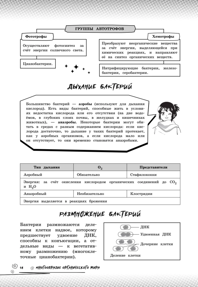 Biologia. Podnieś swój poziom na maksimum