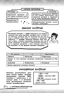 Biologia. Podnieś swój poziom na maksimum