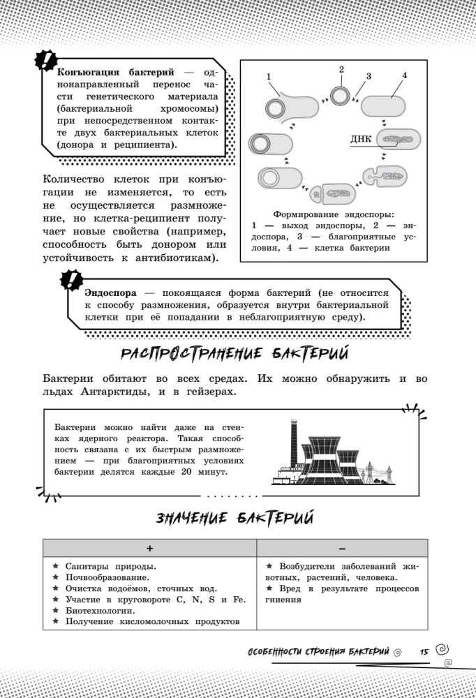 Biologia. Podnieś swój poziom na maksimum