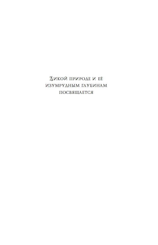 Smaragur. Buch 1. Die Insel der Drachen