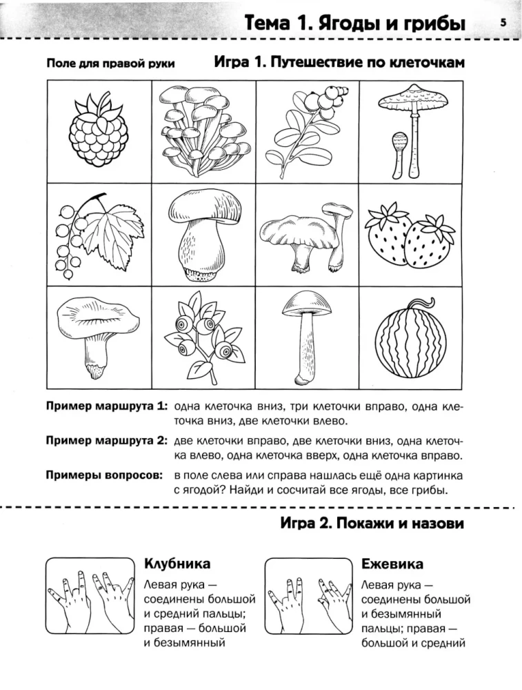 Neurotraining: 6-7 years
