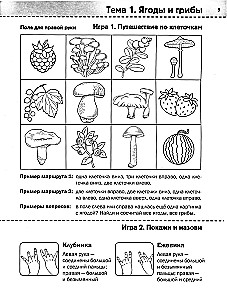 Neurotraining: 6-7 years