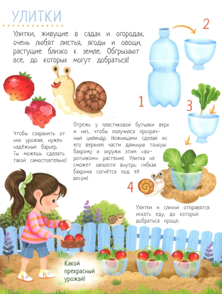 Dein Hausgarten: Buch der Ideen und Beschäftigungen