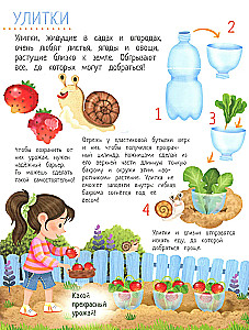 Dein Hausgarten: Buch der Ideen und Beschäftigungen