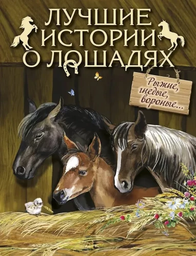 Najlepsze historie o koniach. Rude, gniade, czarne…