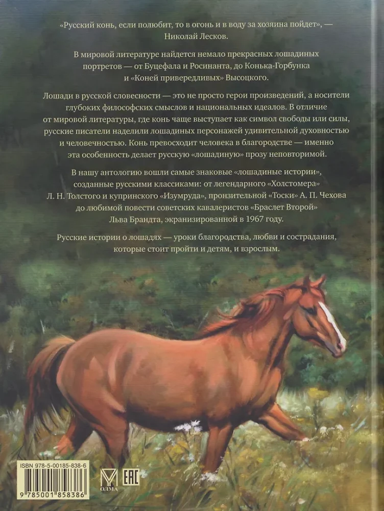 Najlepsze historie o koniach. Rude, gniade, czarne…