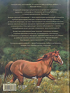 Najlepsze historie o koniach. Rude, gniade, czarne…
