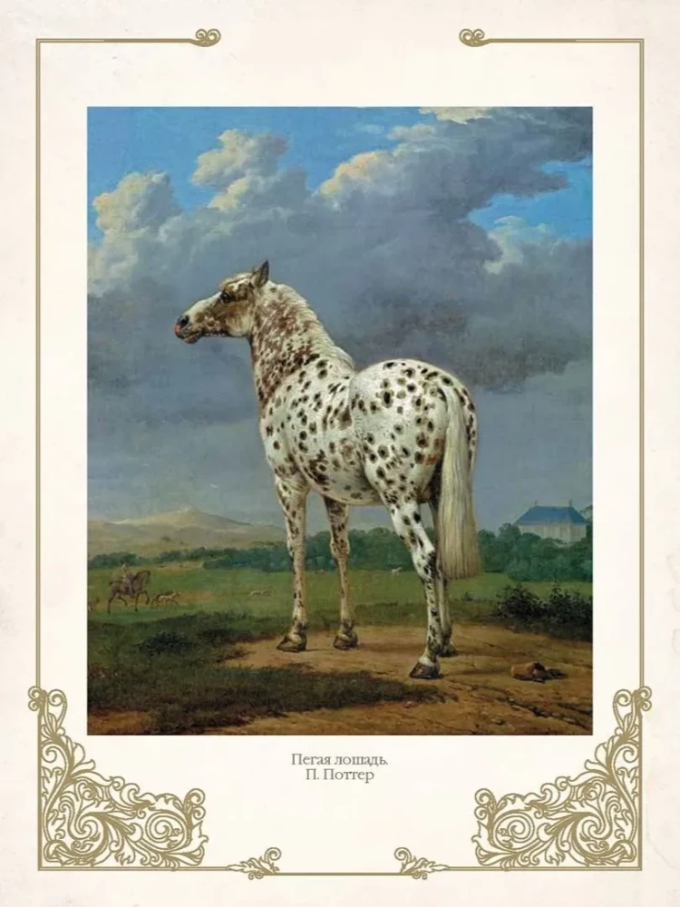 Najlepsze historie o koniach. Rude, gniade, czarne…