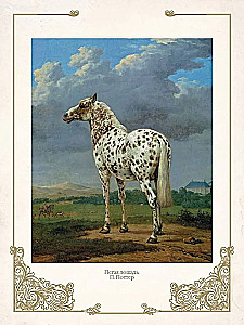 Najlepsze historie o koniach. Rude, gniade, czarne…