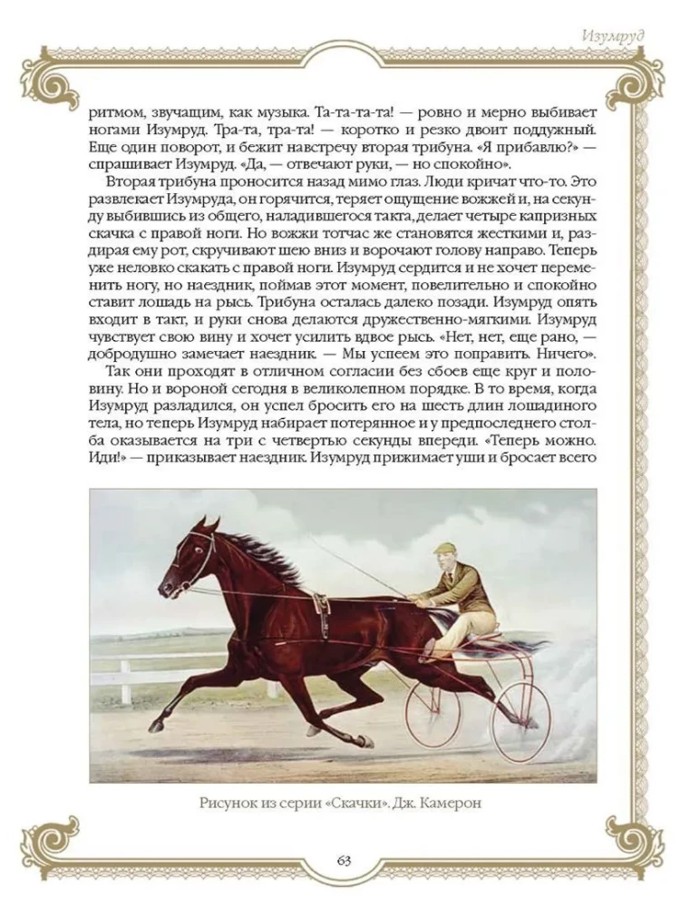 Najlepsze historie o koniach. Rude, gniade, czarne…