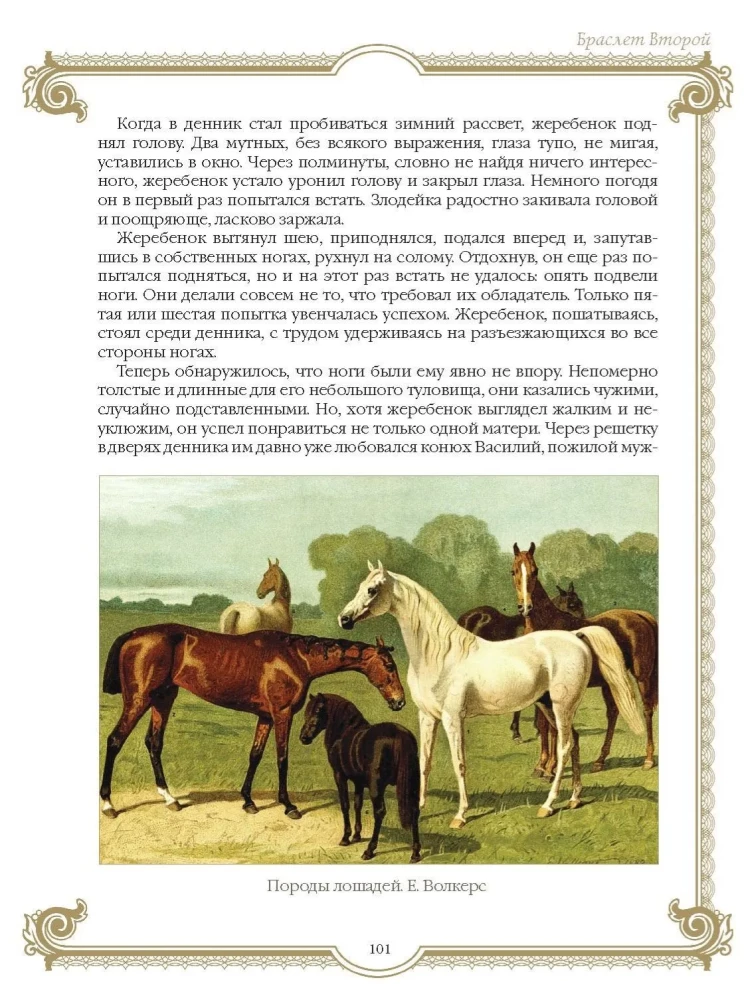 Najlepsze historie o koniach. Rude, gniade, czarne…