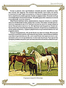 Najlepsze historie o koniach. Rude, gniade, czarne…