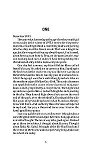 The Kite Runner