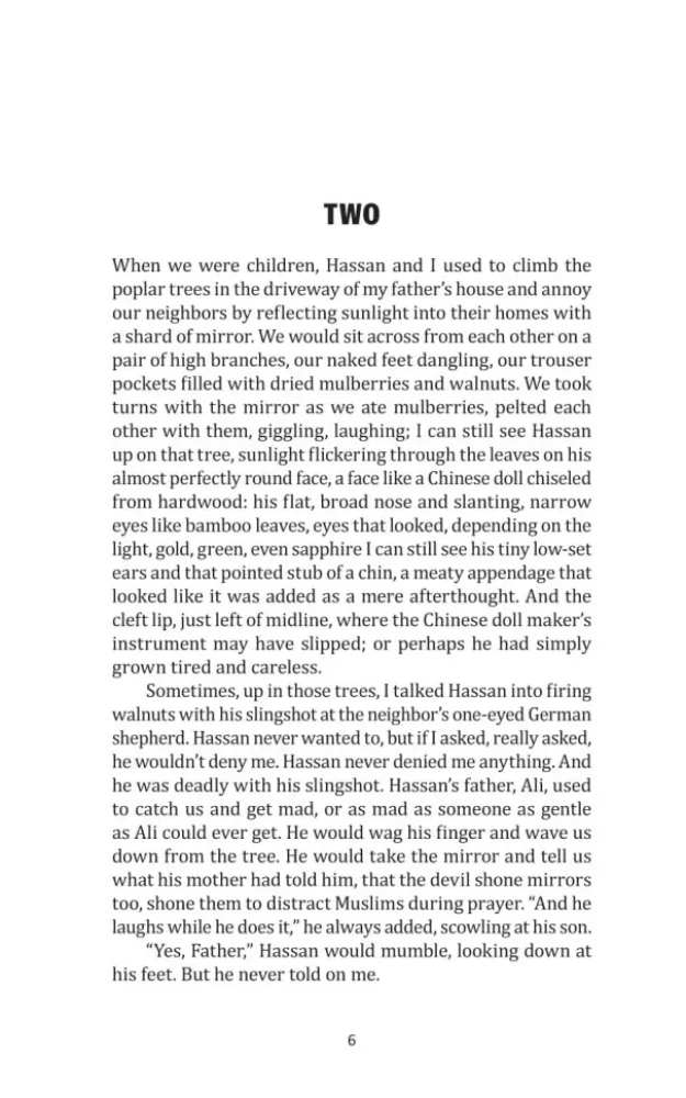 The Kite Runner