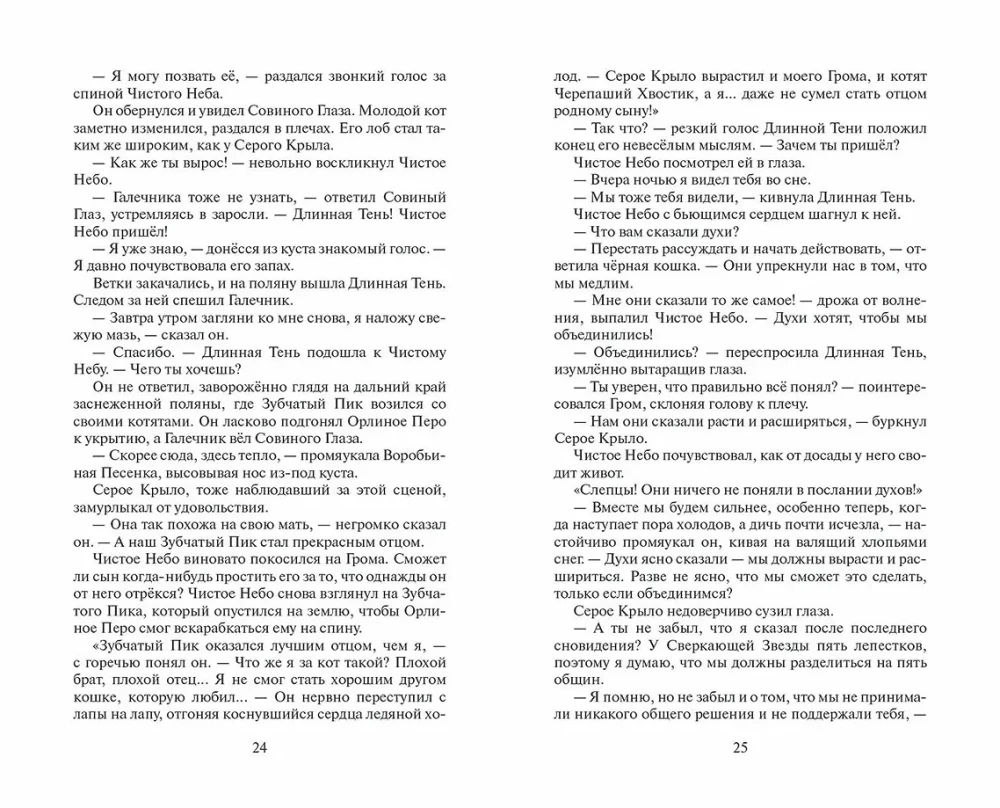 Kaķi-cīnītāji. Cikls Sākums ciltīm. Izvēles laiks