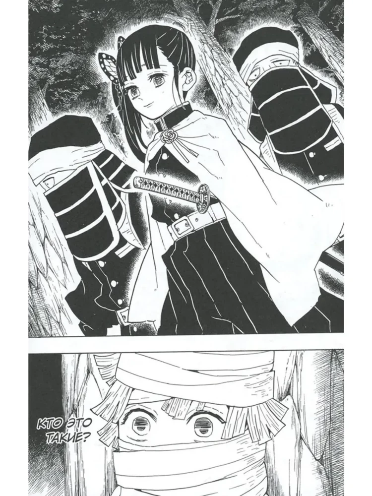 Demon Slayer. Tom 6. Na sądzie u filarów zabójców