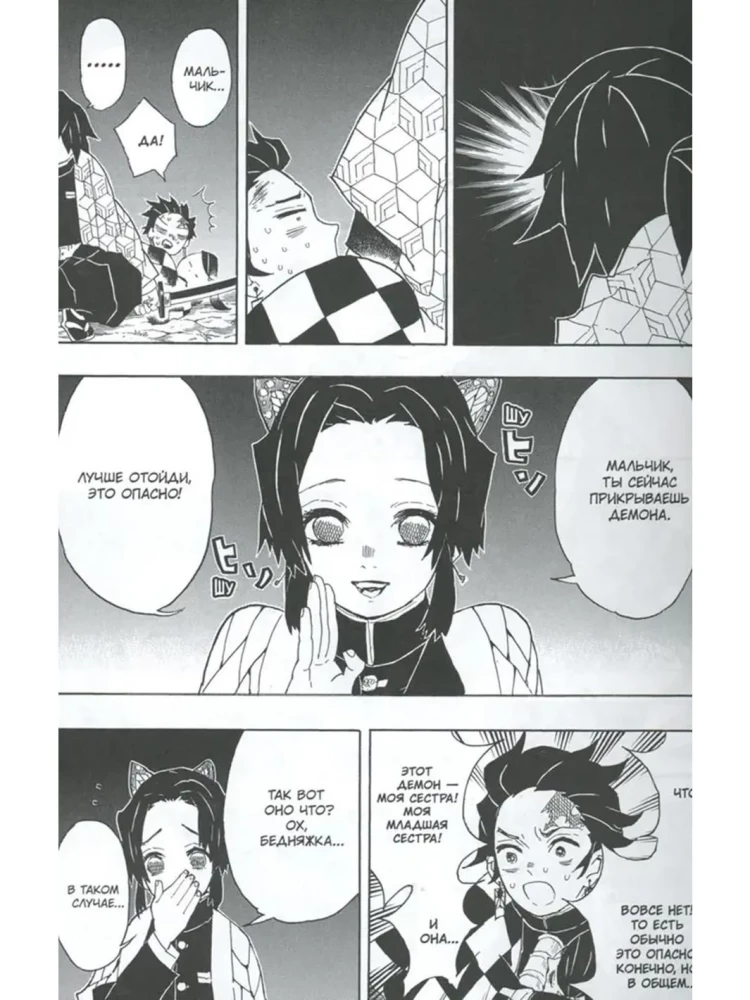 Demon Slayer. Tom 6. Na sądzie u filarów zabójców