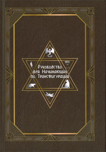 Руководство для начинающих по Трансфигурации