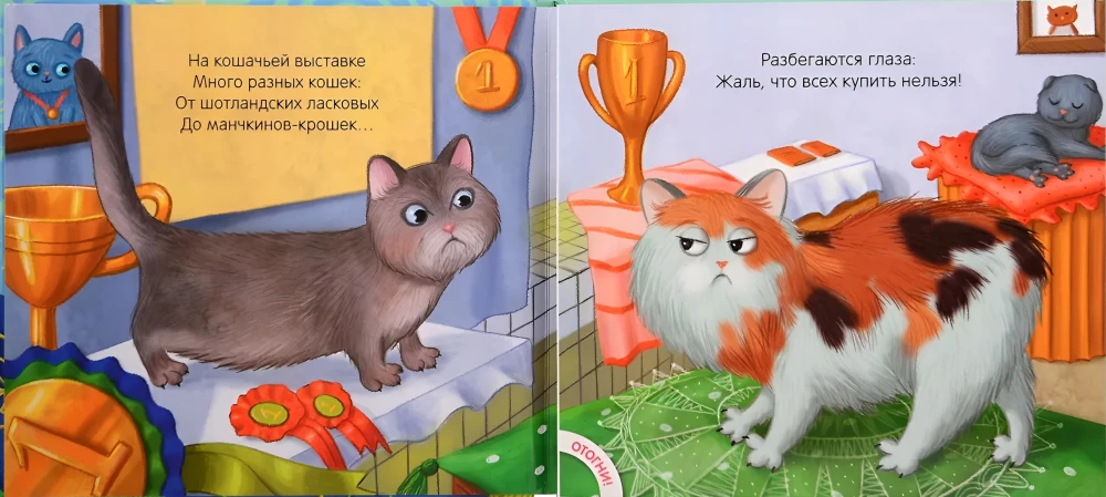 Pajusk ir pamylėk. Kačiukas