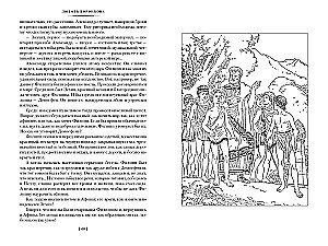Sohn des Zeus. In den Tiefen der Jahrhunderte. Held von Salamis