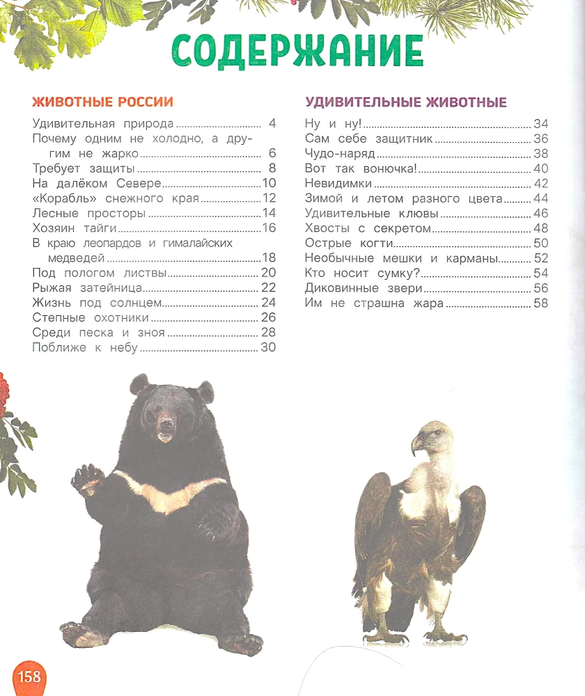 Zwierzęta. Najlepsza dziecięca encyklopedia