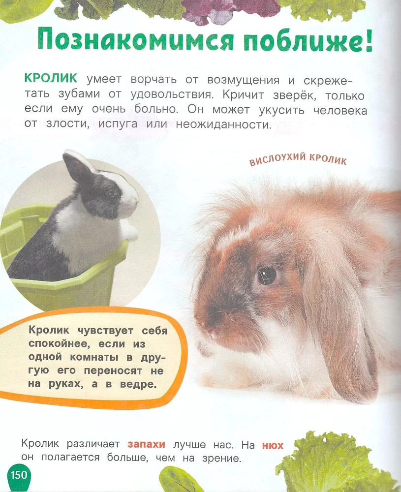 Zwierzęta. Najlepsza dziecięca encyklopedia