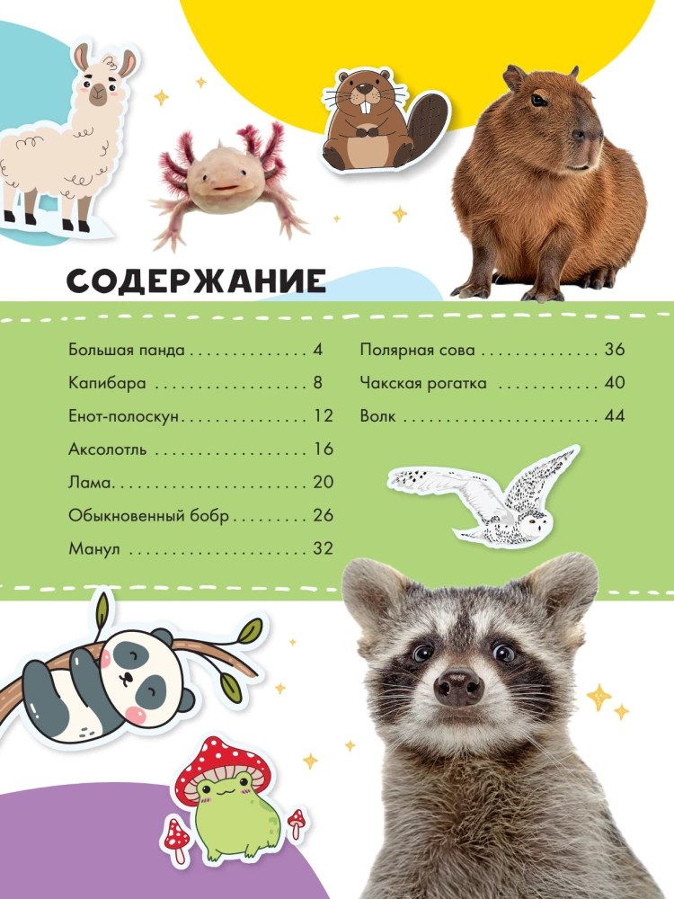 Capybara und andere Meme-Tiere