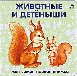 Животные и детёныши