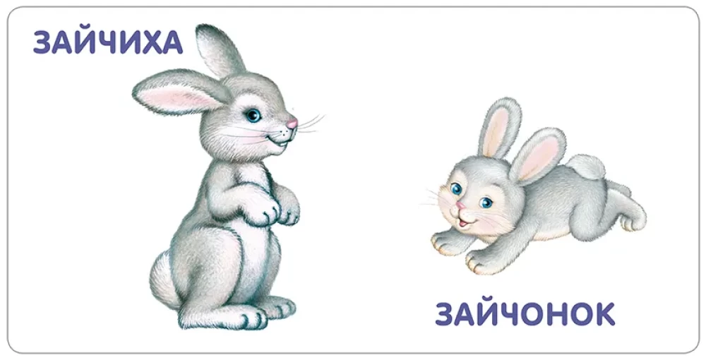 Животные и детёныши