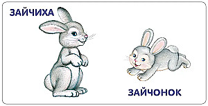 Животные и детёныши