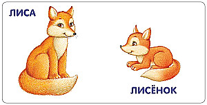Животные и детёныши