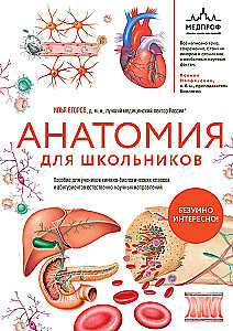 Anatomy for Schoolchildren. A Guide for Students of Chemical-Biological Classes and Applicants for Natural Science Directions