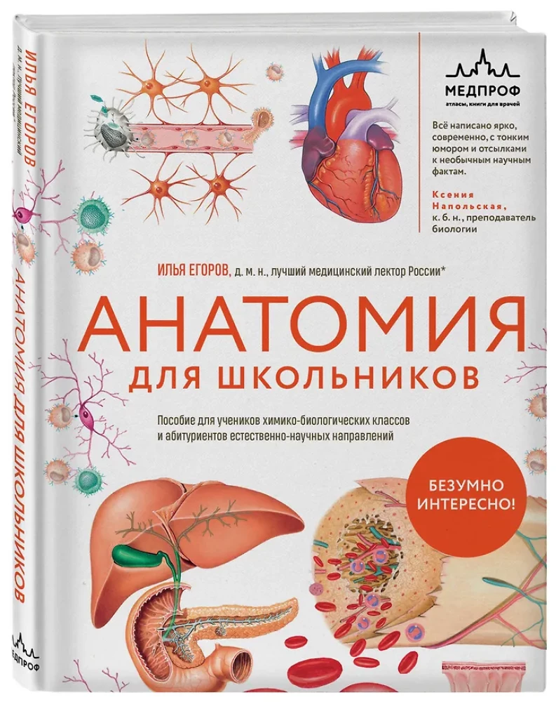 Anatomy for Schoolchildren. A Guide for Students of Chemical-Biological Classes and Applicants for Natural Science Directions