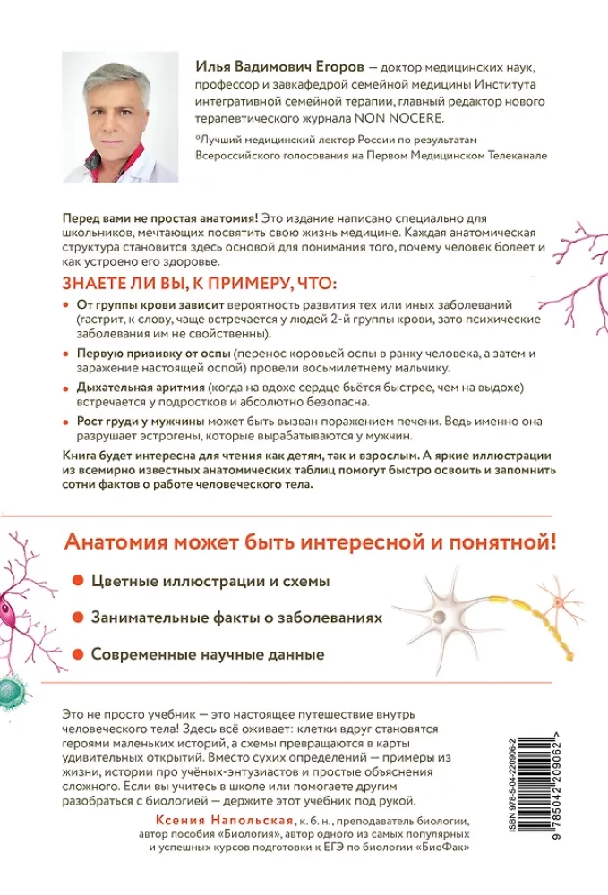 Anatomy for Schoolchildren. A Guide for Students of Chemical-Biological Classes and Applicants for Natural Science Directions