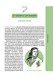 Anatomy for Schoolchildren. A Guide for Students of Chemical-Biological Classes and Applicants for Natural Science Directions