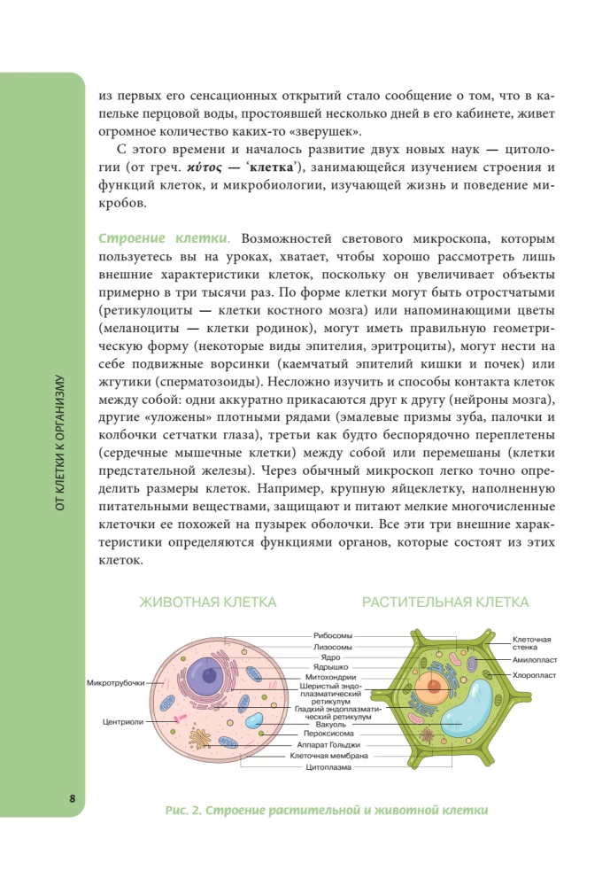 Anatomy for Schoolchildren. A Guide for Students of Chemical-Biological Classes and Applicants for Natural Science Directions
