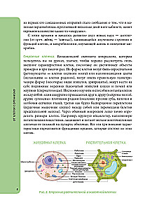Anatomy for Schoolchildren. A Guide for Students of Chemical-Biological Classes and Applicants for Natural Science Directions