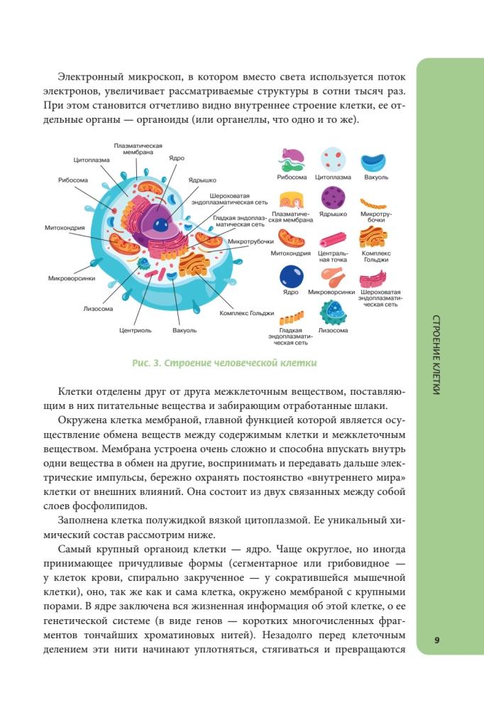 Anatomy for Schoolchildren. A Guide for Students of Chemical-Biological Classes and Applicants for Natural Science Directions