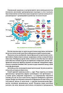Anatomy for Schoolchildren. A Guide for Students of Chemical-Biological Classes and Applicants for Natural Science Directions
