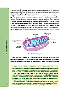 Anatomy for Schoolchildren. A Guide for Students of Chemical-Biological Classes and Applicants for Natural Science Directions